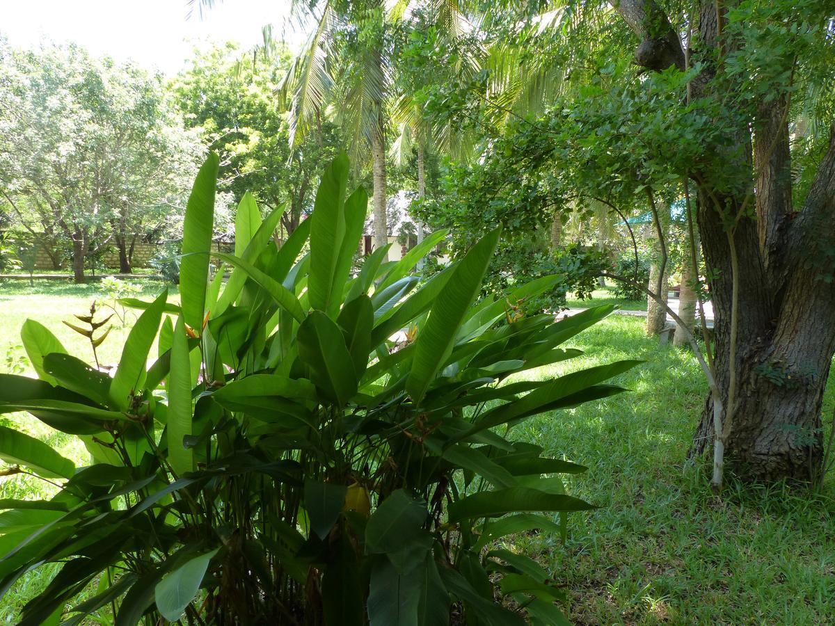 Residence Maison Muege Kilifi Zewnętrze zdjęcie