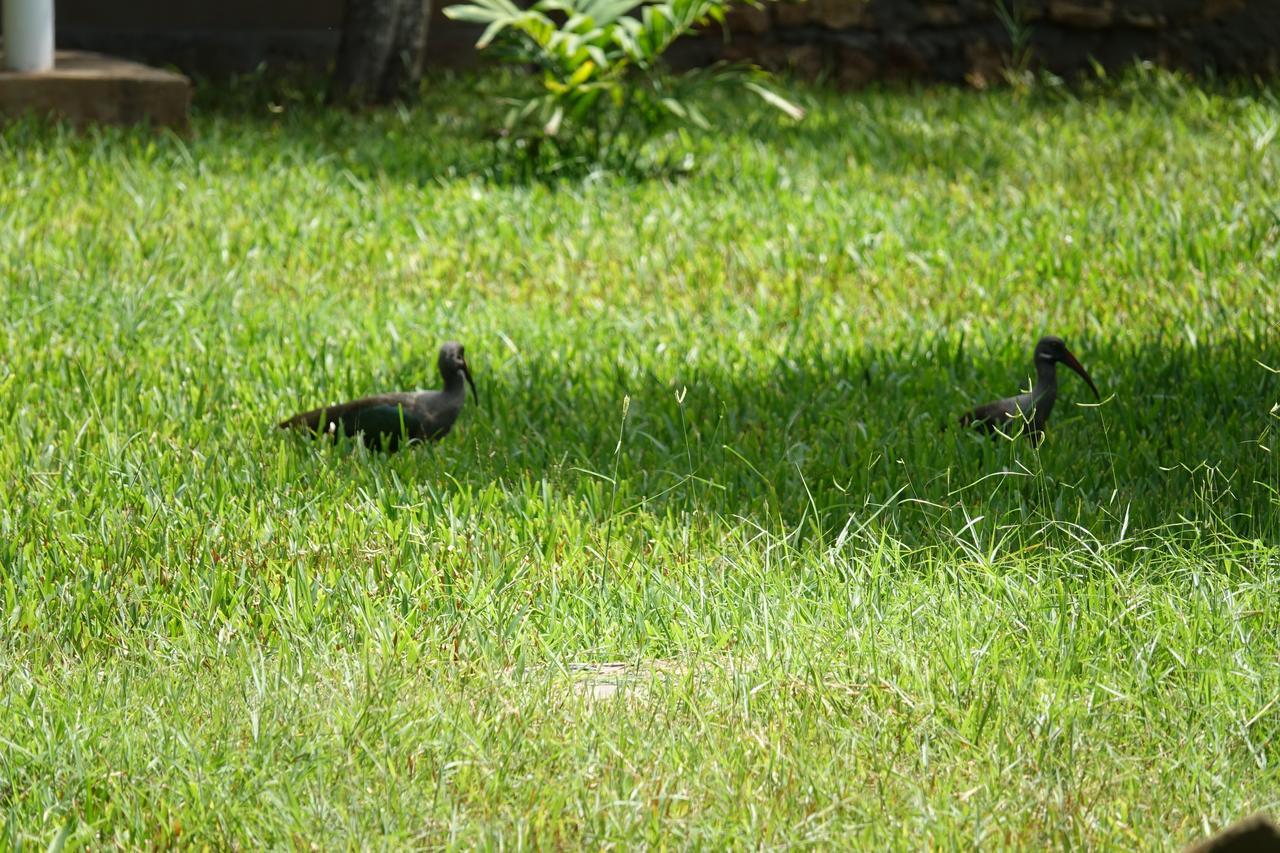 Residence Maison Muege Kilifi Zewnętrze zdjęcie
