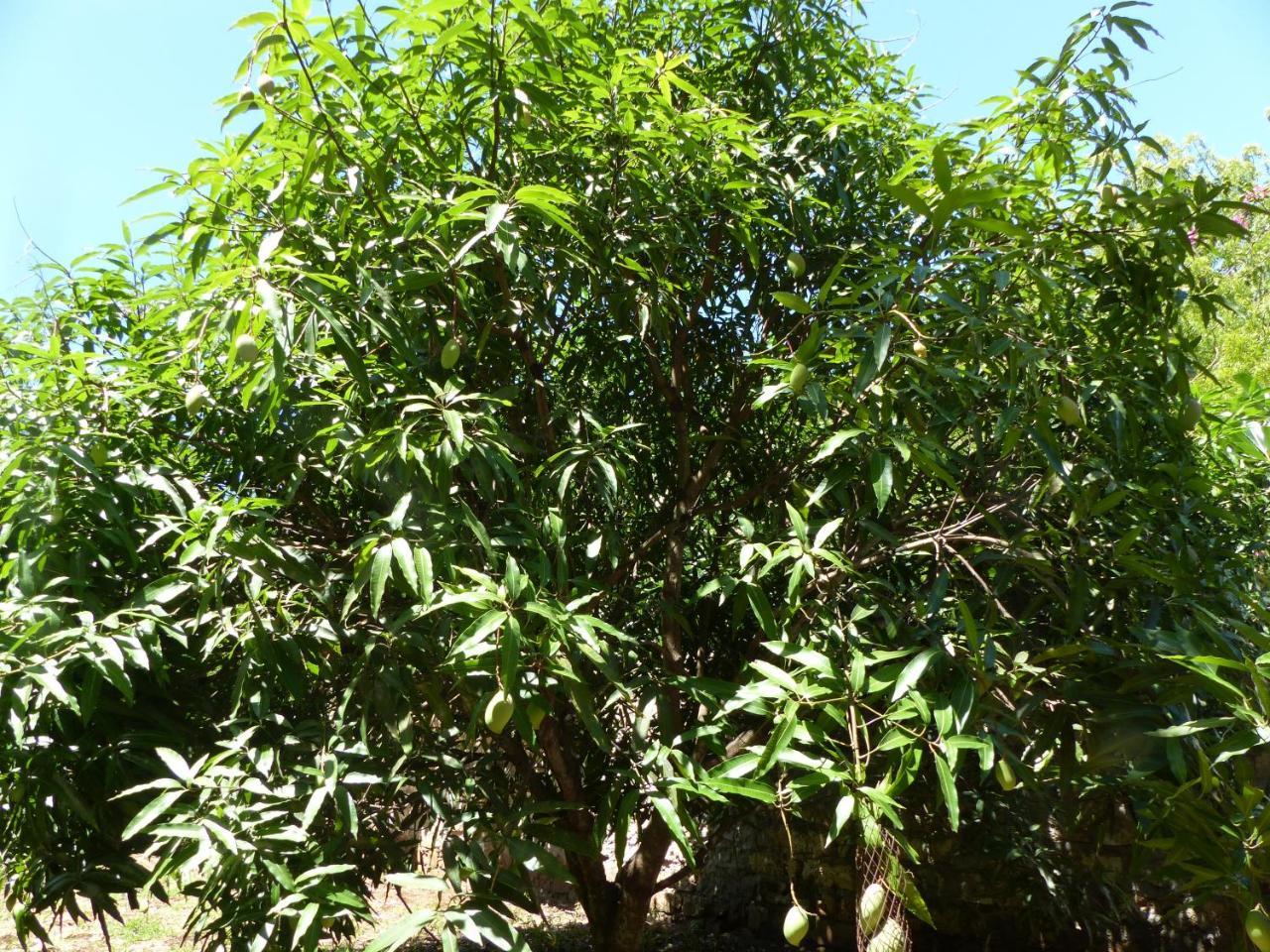 Residence Maison Muege Kilifi Zewnętrze zdjęcie